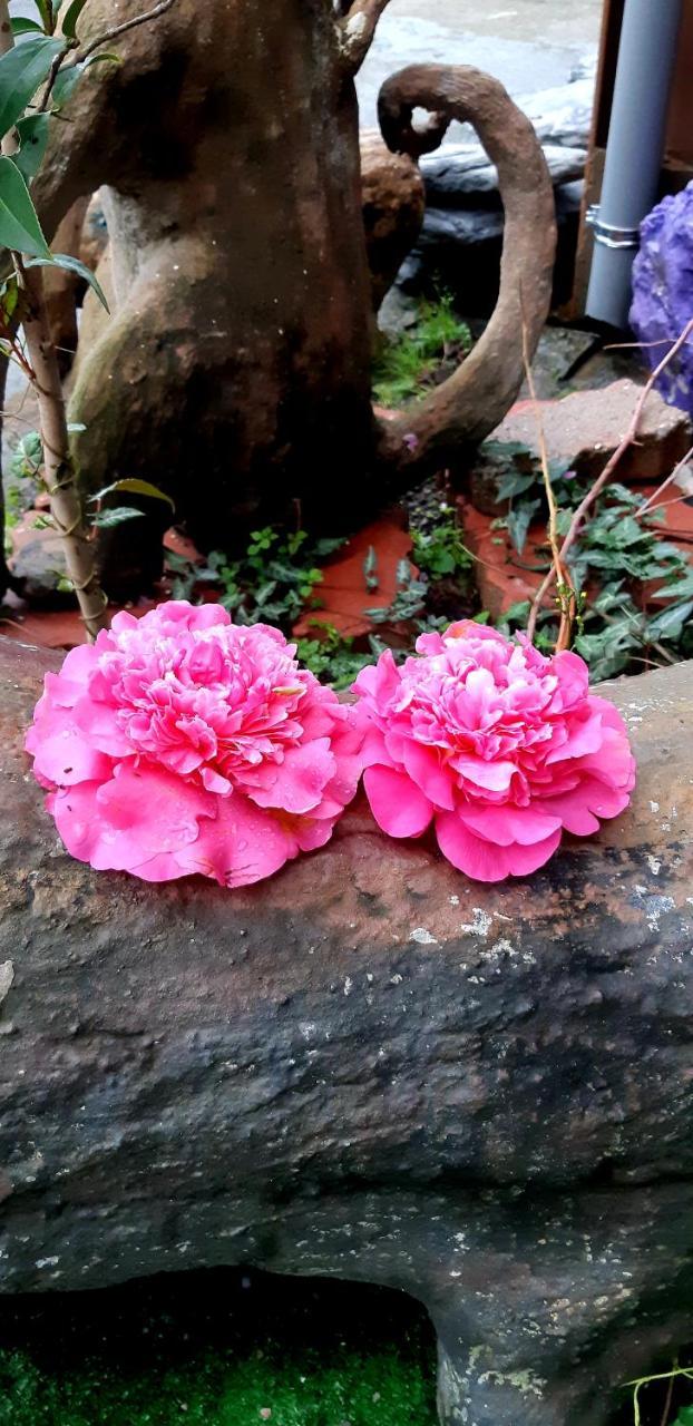 Lushan Xiangting Tea Homestay Ren'ai Exterior foto
